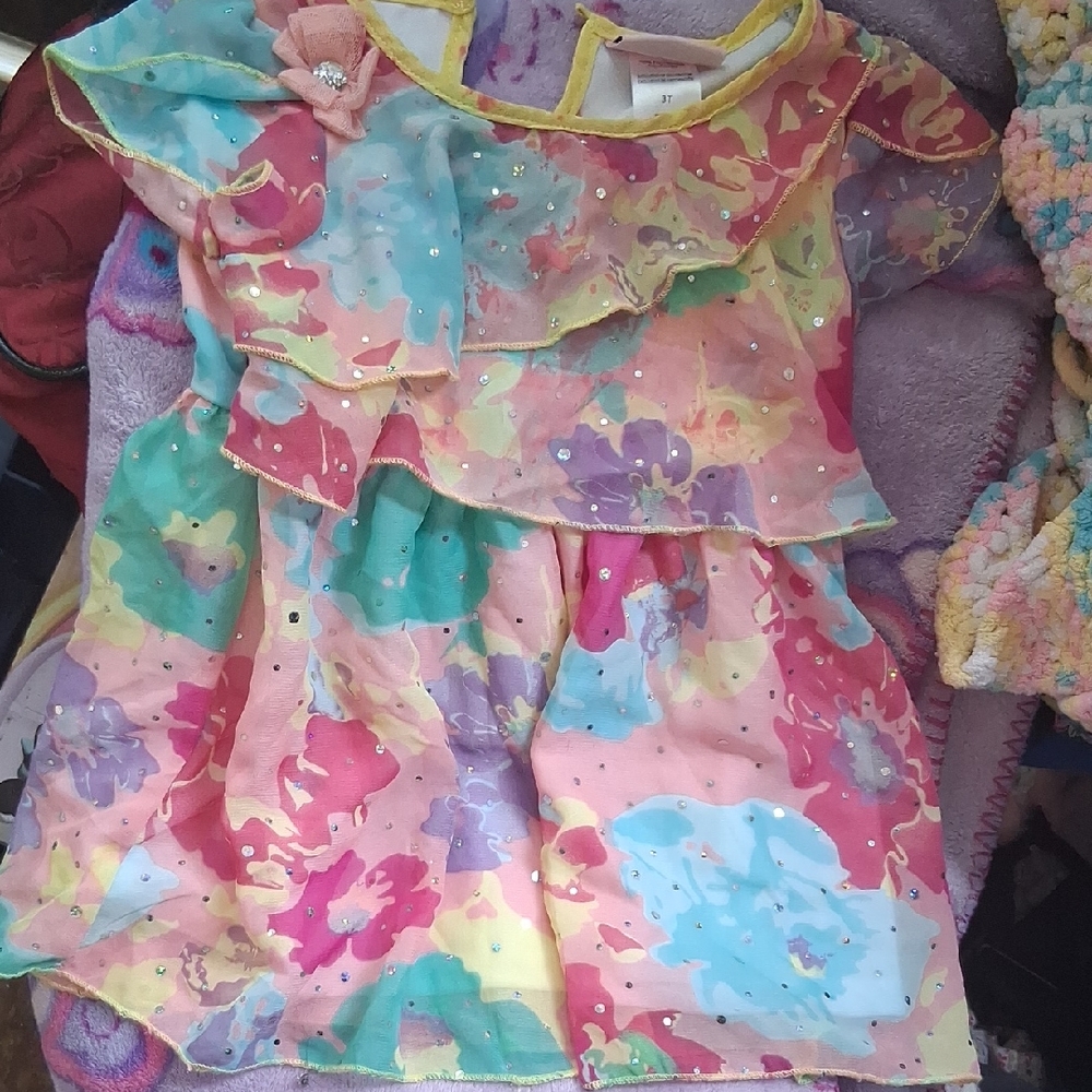 Little Lass Multicolor Floral Dress